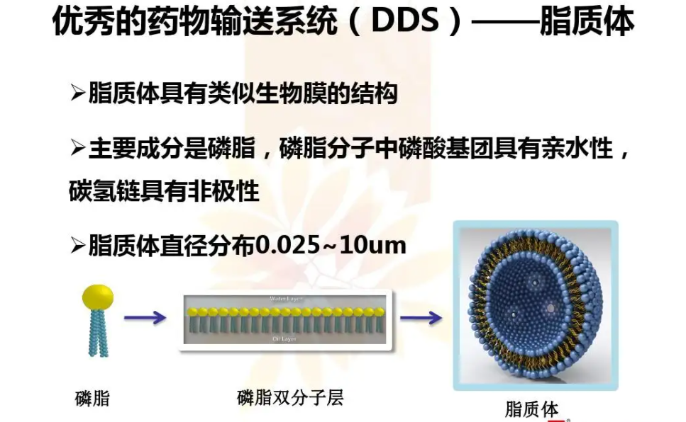 普鲁士蓝脂质体 Prussi Blue@liposomes