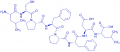 p2Ca peptide,cas: 142606-55-1