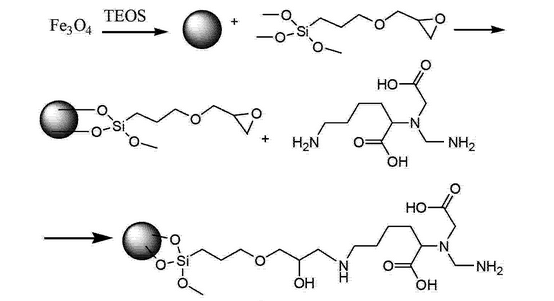 amination SiO2 coating Fe3O4 noparticles 表面氨基修饰的二氧化硅包裹的四氧化三铁纳米颗粒