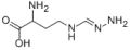L-2-氨基-4-胍基丁酸盐酸盐cas:2978-24-7