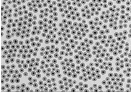 （Gold/silica core-shell noparticles）10ml  金-二氧化硅核壳结构纳米粒子