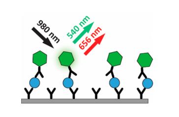 水溶性上转换纳米颗粒(980激发)Water-Soluble Upconverting Noparticle