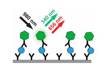 水溶性上转换纳米颗粒（980激发）Water-Soluble Upconverting Noparticle