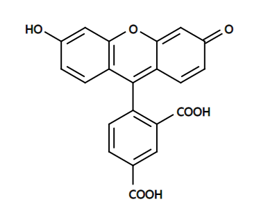 5-FAM,5-Carboxyfluorescein,CAS76823-03-5,5-羧基荧光素