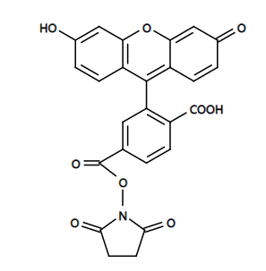6-FAM, SE|CAS92557-81-8|6-羧基荧光素琥珀酰亚胺酯