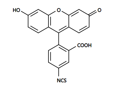 5-FITC,Fluorescein-5-isothiocyate,CAS3326-32-7,异硫氰酸荧光素