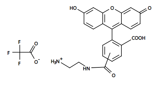 5(6)-FAM ethylenediamine|5(6)-羧基荧光素乙二胺