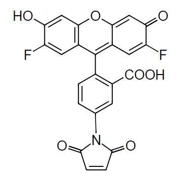 OG488 maleimide|OG488马来酰亚胺