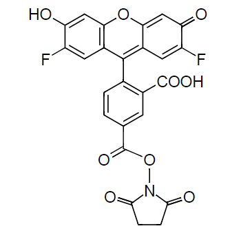 5-OG488 succinimidyl ester|5-OG488琥珀酰亚胺酯