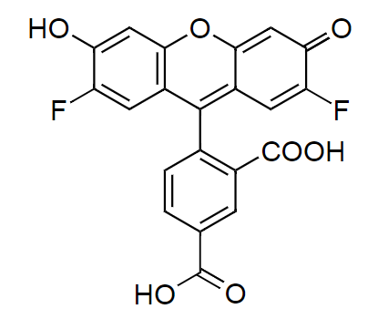 5-OG488 acid|CAS1027168-06-4|OG488羧酸，5-异构体