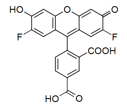 5-OG488 acid|CAS1027168-06-4|OG488羧酸,5-异构体