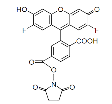 6-OG488 succinimidyl ester|6-OG488琥珀酰亚胺酯|CAS198139-50-3
