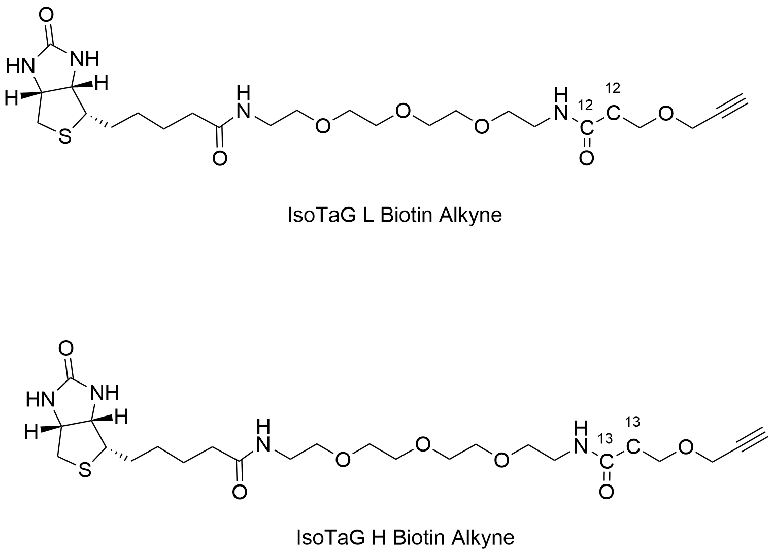 IsoTaG Biotin Alkyne Pack