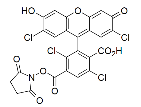 6-TET, SE|6-羧基-2&#039;，4,7&#039;，7-四氯荧光素，琥珀酰亚胺酯