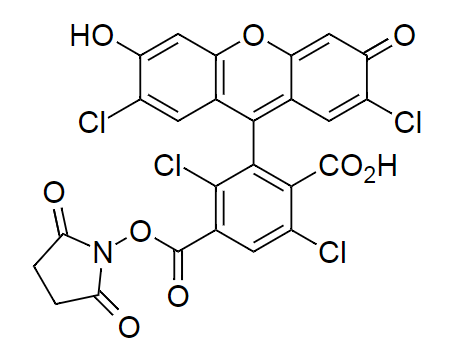 6-TET, SE|6-羧基-2',4,7',7-四氯荧光素,琥珀酰亚胺酯