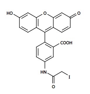 5-IAF|CAS 63368-54-7|5-碘乙酰氨基荧光素