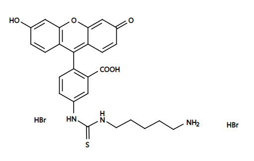 5-FITC cadaverine|异硫氰酸荧光素-尸胺