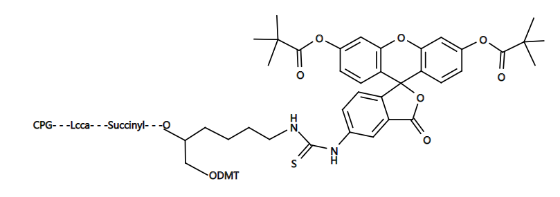 3&#039;-Fluorescein CPG|3&#039;-荧光素-CPG