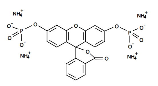 FDP|CAS217305-49-2|二磷酸荧光素, 四铵盐