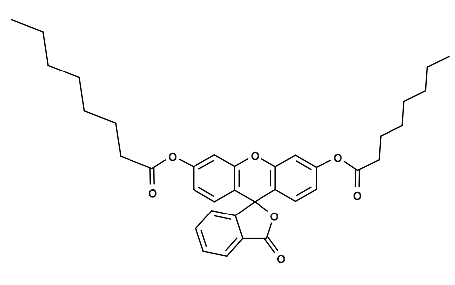 Fluorescein dicaprylate|荧光素二辛酸酯|cas19722-86-2