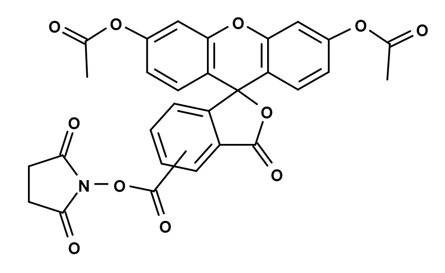 CFSE|CAS150347-59-4|5-(和6)-羧基荧光素二乙酸酯, 琥珀酰亚胺酯