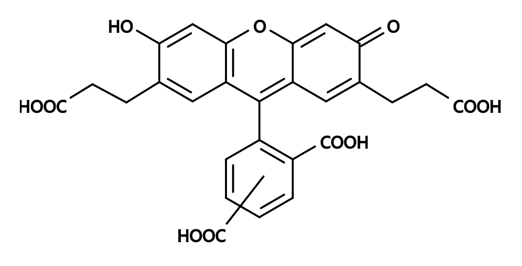 BCECF acid|CAS85138-49-4|2,7-双(2-羧基乙基)-5(6)-羧基荧光素