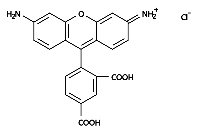 5-CR110|5-Carboxyrhodamine 110|5-羧基罗丹明110