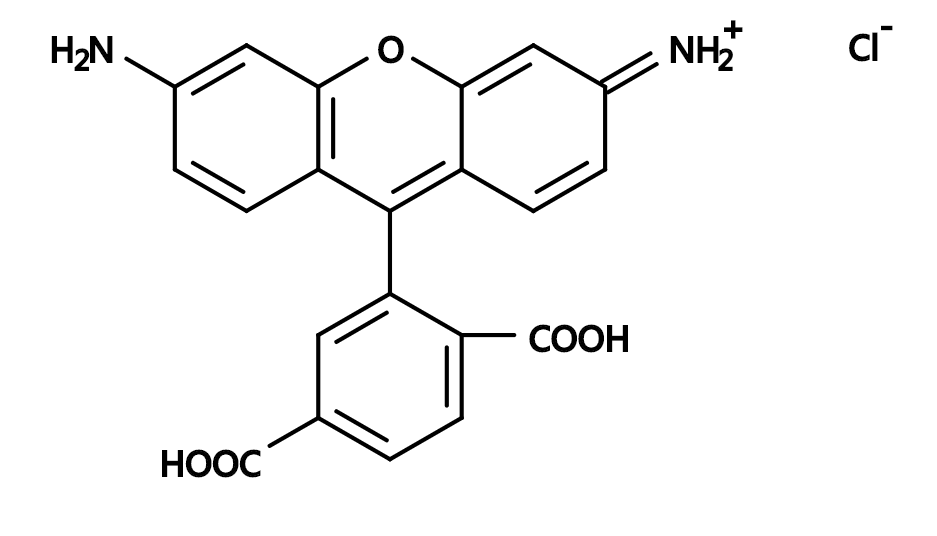 6-CR110|6-Carboxyrhodamine 110|6-羧基罗丹明110
