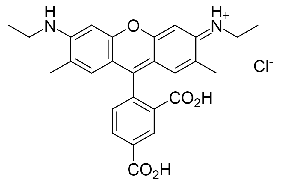 5-CR6G|5-Carboxyrhodamine 6G|5-羧甲基罗丹明6G|cas180144-69-8