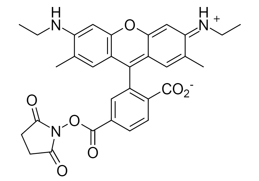 6-CR6G, SE|6-Carboxyrhodamine 6G, succinimidyl ester|6-羧甲基罗丹明6G, 琥珀酰亚胺酯