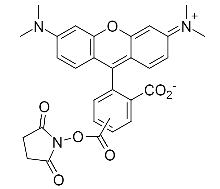 5(6)-TAMRA, SE|CAS246256-50-8|5-(和-6)-羧基四甲基罗丹明, 琥珀酰亚胺酯