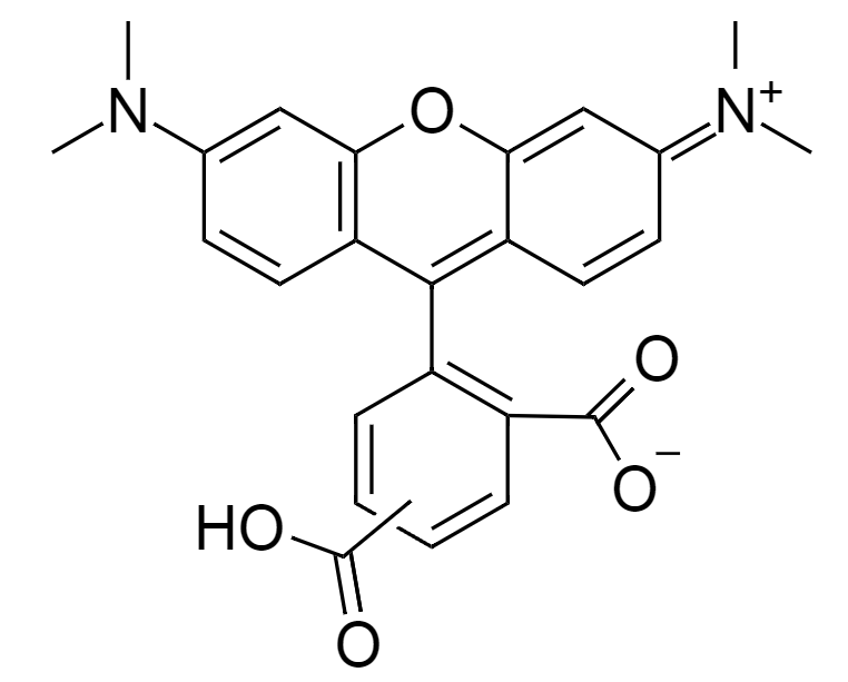 5(6)-TAMRA|CAS98181-63-6|5(6)-羧甲基四甲基罗丹明