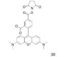 5-TAMRA, SE|CAS150810-68-7|5-羧基四甲基罗丹明, 琥珀酰亚胺酯