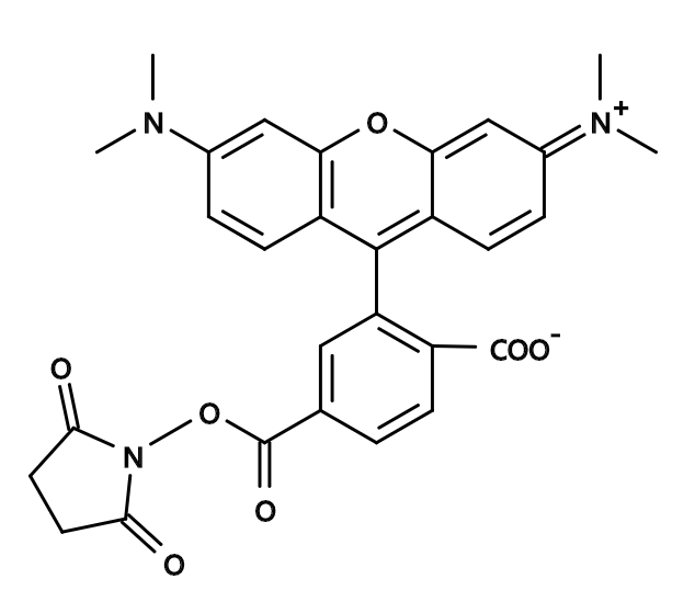 6-TAMRA, SE|CAS150810-69-8|6-羧基四甲基罗丹明, 琥珀酰亚胺酯