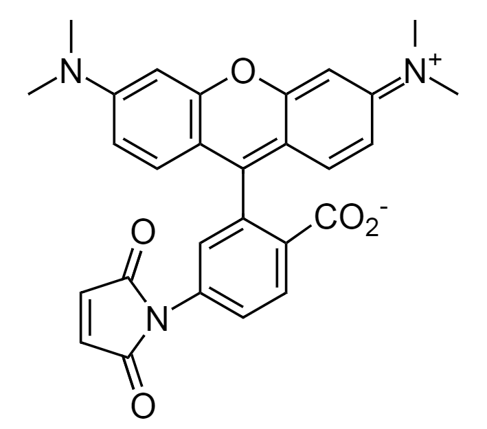 6-TAMRA Maleimide|Tetramethylrhodamine-6-maleimide|CAS 174568-68-4|四甲基罗丹明-6-马来酰亚胺