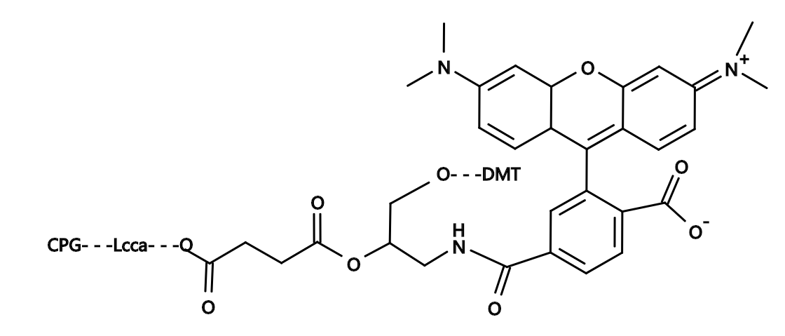 6-TAMRA CPG|6-Carboxytetramethylrhodamine CPG|6-羧基四甲基罗丹明-CPG