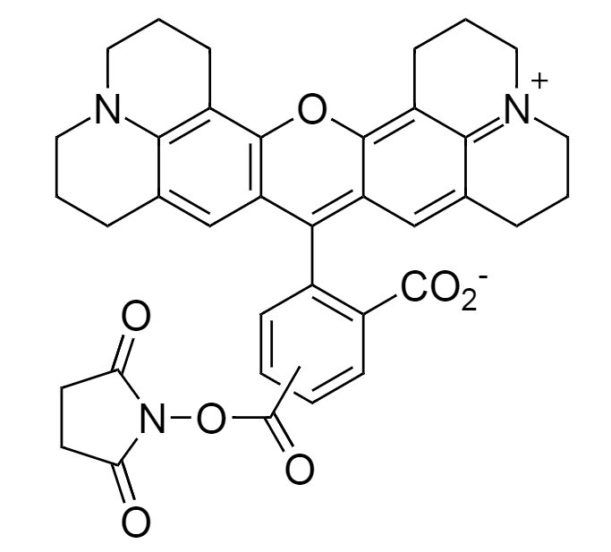 5(6)-ROX, SE|5-(和-6)-羧基-X-若丹明, 琥珀酰亚胺酯|cas114616-32-9