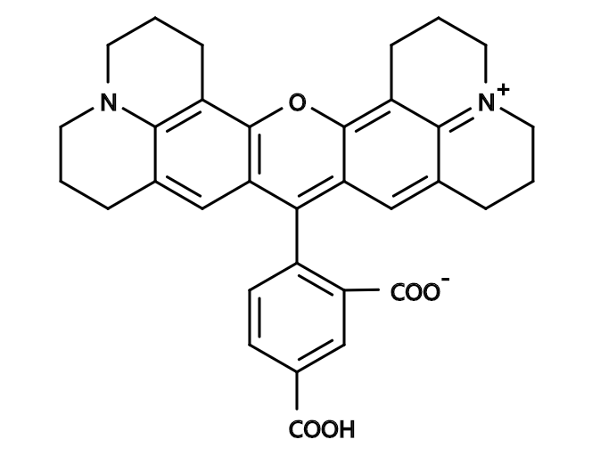 5-ROX|5-Carboxy-X-rhodamine|CAS216699-35-3|5-羧基-X-罗丹明
