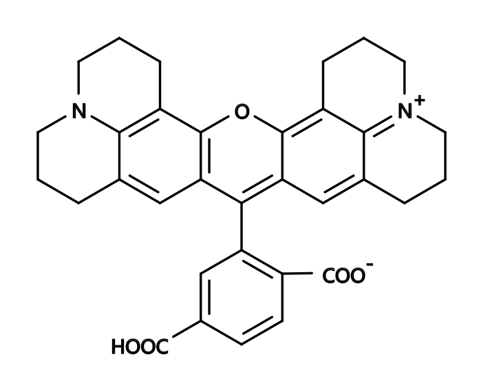 6-ROX|6-Carboxy-X-rhodamine|CAS194785-18-7|6-羧基-X-罗丹明