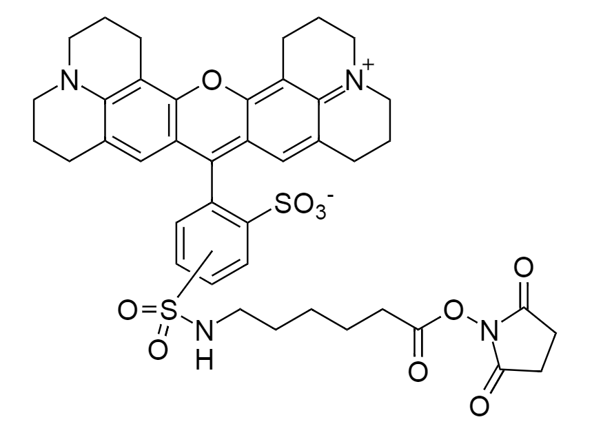 Texas Red-X, succinimidyl ester|CAS 216972-99-5|Texas Red-X, 琥珀酰亚胺酯