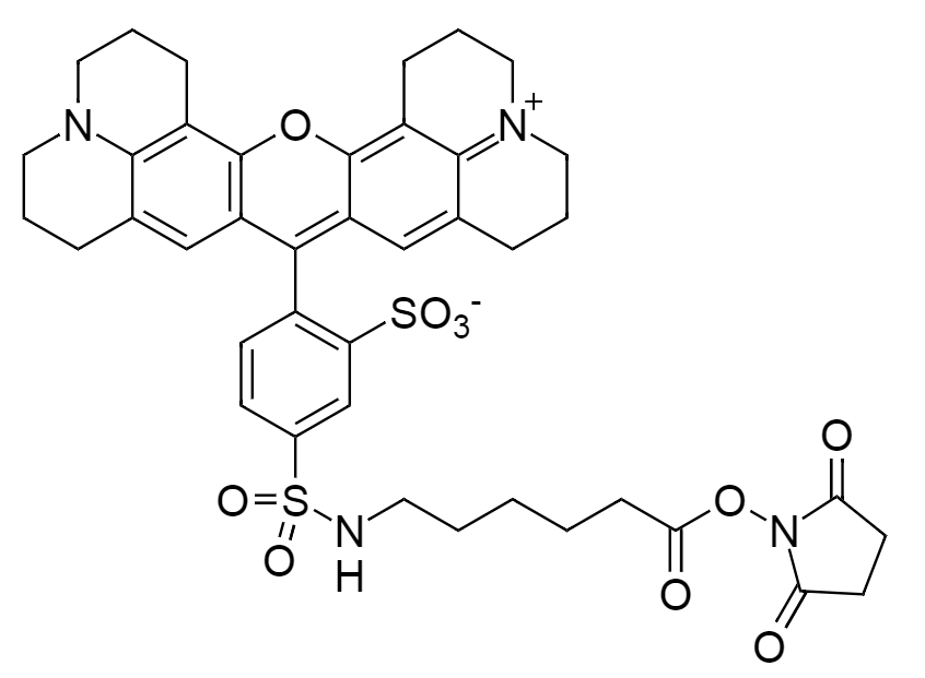 Texas Red-X, succinimidyl ester|CAS 199745-67-0|Texas Red-X, 琥珀酰亚胺酯