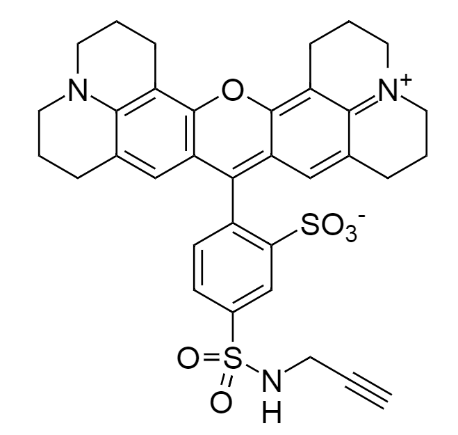 Texas Red® alkyne|Texas Red® 炔烃