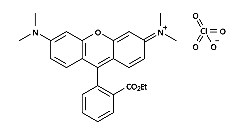 TMRE|Tetramethylrhodamine ethyl ester|CAS115532-52-0|四甲基罗丹明乙酯