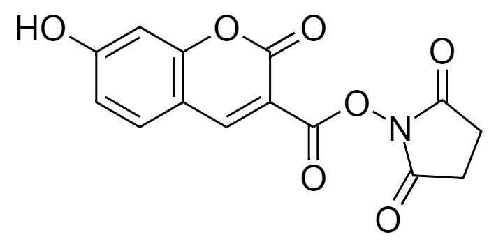 7-Hydroxycoumarin-3-carboxylic acid, succinimidyl ester|CAS134471-24-2|7-羟基香豆素-3-羧酸琥珀酰亚胺酯