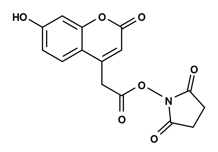 7-Hydroxycoumarin-4-acetic acid, succinimidyl ester|7-羟基香豆素-4-乙酸琥珀酰亚胺酯