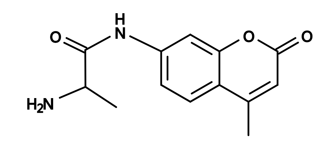 Ala-AMC|丙氨酸-7-氨基-4-甲基香豆素
