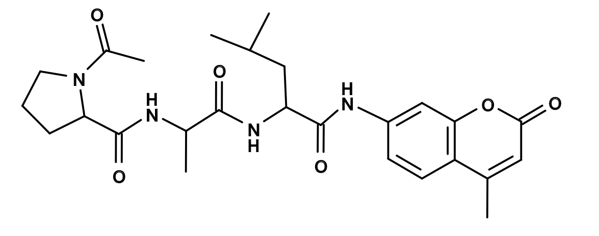 Ac-Pro-Ala-Leu-AMC|Ac-Pro-Ala-Leu-7-氨基-4-甲基香豆素