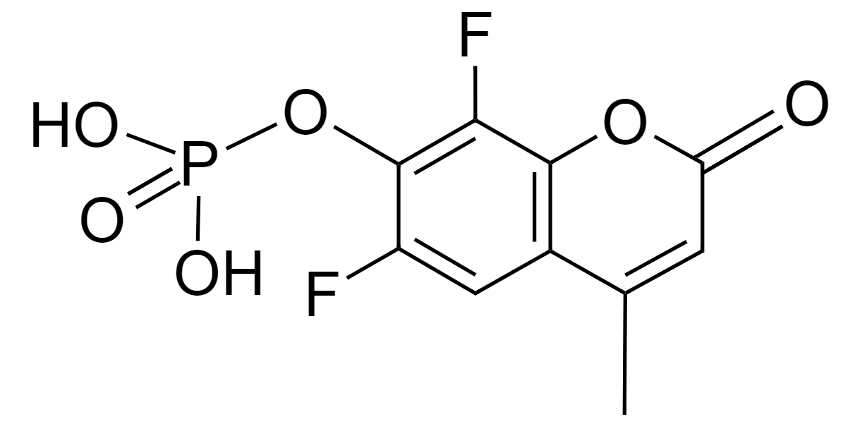 DiFMUP|CAS214491-43-7|6,8-二氟-4-甲基伞形酮磷酸酯