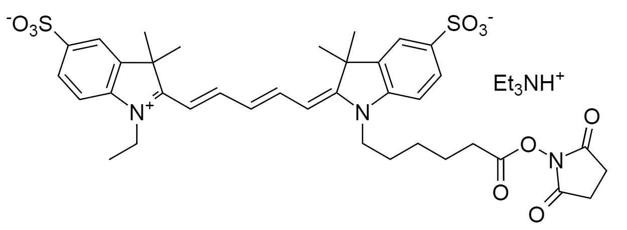 Cy5 NHS ester|花菁5琥珀酰亚胺酯