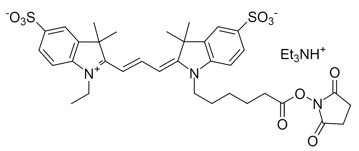 Cy3 NHS ester|花菁3琥珀酰亚胺酯
